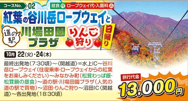 紅葉の谷川岳ロープウェイと道の駅川場田園プラザりんご狩り（日帰り）