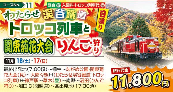 わたらせ渓谷鐵道トロッコ列車と関東菊花大会 りんご狩り（日帰り）