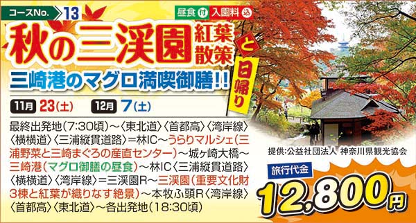 秋の三渓園紅葉散策と三崎港のマグロ満喫御膳！！（日帰り）