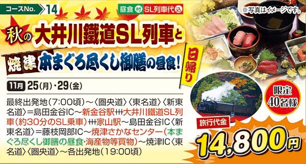 秋の大井川鐵道SL列車と焼津本まぐろ尽くし御膳の昼食!（日帰り）