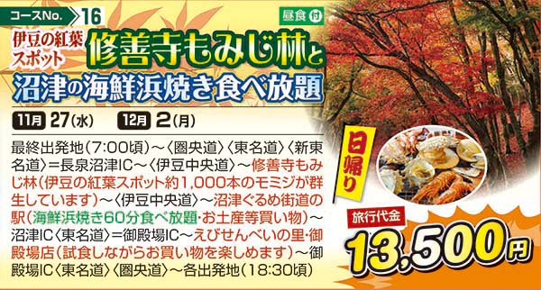 伊豆の紅葉スポット修善寺もみじ林と沼津の海鮮浜焼き食べ放題（日帰り）