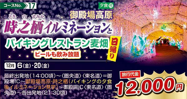 御殿場高原時之栖イルミネーションとバイキングレストラン麦畑 ビールも飲み放題（日帰り）