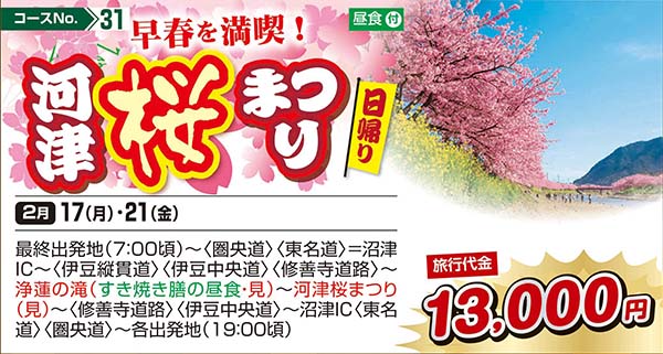 早春を満喫！河津桜まつり（日帰り）