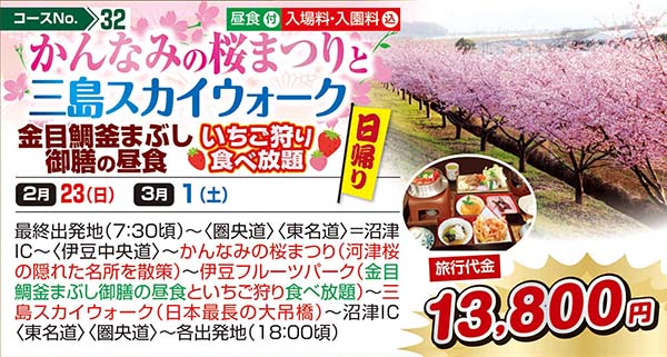 かんなみの桜まつりと三島スカイウォーク 金目鯛釜まぶし御膳の昼食 いちご狩り食べ放題（日帰り）