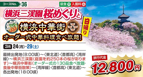 横浜三渓園桜めぐりと横浜中華街オーダー式中華料理食べ放題！（日帰り）