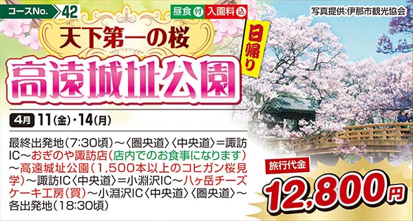 天下第一の桜高遠城址公園（日帰り）