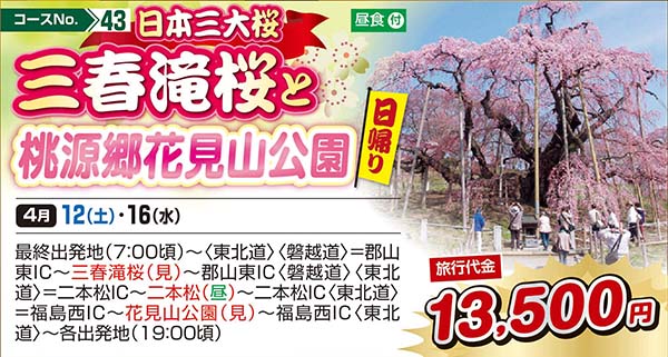 日本三大桜三春滝桜と桃源郷花見山公園（日帰り）