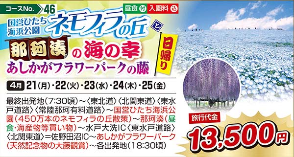 国営ひたち海浜公園ネモフィラの丘と那珂湊の海の幸 あしかがフラワーパークの藤（日帰り）