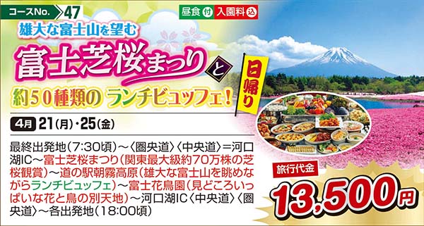 雄大な富士山を望む富士芝桜まつりと約５０種類の ランチビュッフェ！（日帰り）