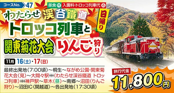 わたらせ渓谷鐵道トロッコ列車と関東菊花大会　りんご狩り（日帰り）