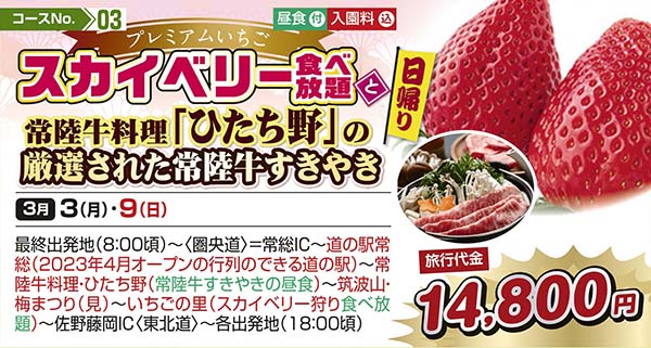 プレミアムいちご スカイベリー食べ放題と常陸牛料理「ひたち野」の厳選された常陸牛すきやき（日帰り）