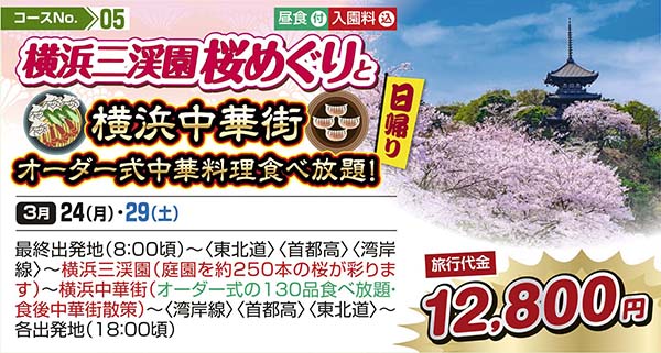 横浜三渓園桜めぐりと横浜中華街オーダー式中華料理食べ放題！（日帰り）