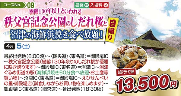 樹齢130年以上といわれる秩父宮記念公園のしだれ桜と沼津の海鮮浜焼き食べ放題！（日帰り）