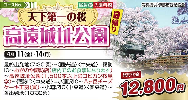 天下第一の桜高遠城址公園（日帰り）