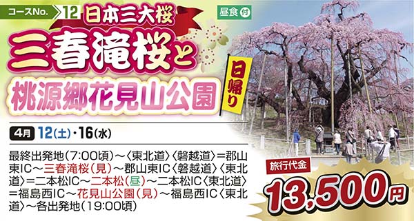 日本三大桜 三春滝桜と桃源郷花見山公園（日帰り）