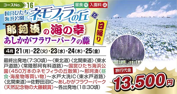 国営ひたち海浜公園ネモフィラの丘と那珂湊の海の幸　あしかがフラワーパークの藤（日帰り）