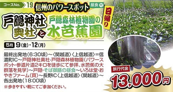 信州のパワースポット 戸隠神社奥社と戸隠森林植物園の水芭蕉園（日帰り）