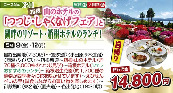 箱根山のホテルの「つつじ・しゃくなげフェア」と湖畔のリゾート・箱根ホテルのランチ！（日帰り）