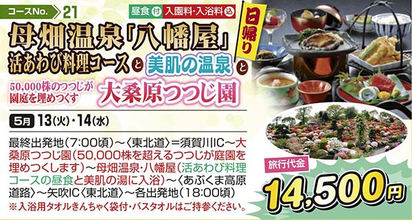 母畑温泉「八幡屋」活あわび料理コースと美肌の温泉と50,000株のつつじが園庭を埋めつくす大桑原つつじ園（日帰り）