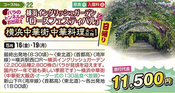 バラのトンネルがお出迎え 横浜イングリッシュガーデン「ローズフェスティバル」と横浜中華街中華料理食べ放題！（日帰り）