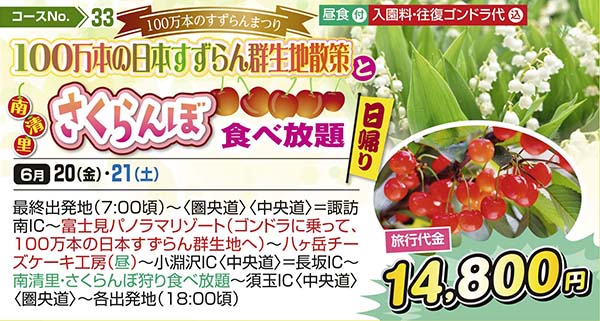 100万本のすずらんまつり 100万本の日本すずらん群生地散策 南清里さくらんぼ食べ放題（日帰り）