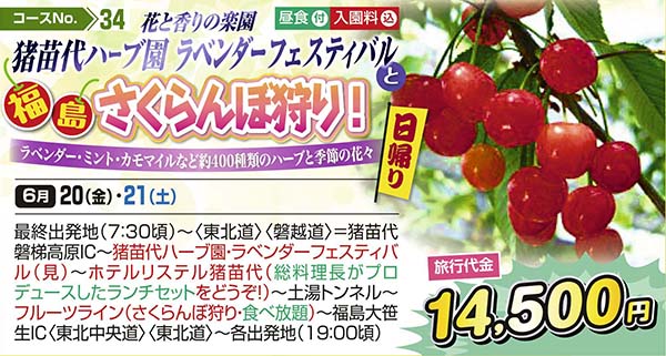 花と香りの楽園 花と香りの楽園 福島さくらんぼ狩り! ラベンダー・ミント・カモマイルなど約400種類のハーブと季節の花々（日帰り）