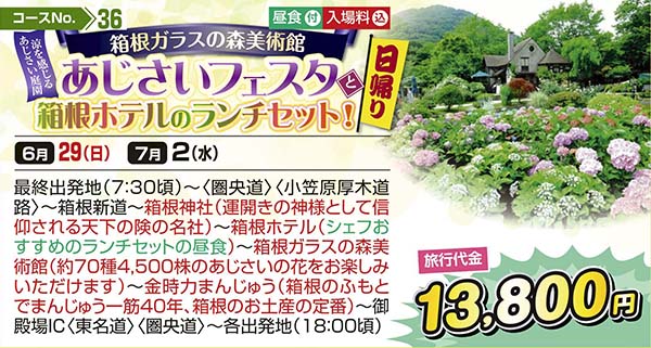 箱根ガラスの森美術館 涼を感じるあじさい庭園 あじさいフェスタと箱根ホテルのランチセット！（日帰り）