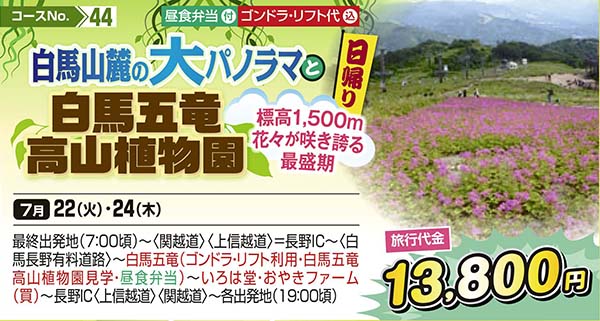 白馬山麓の大パノラマと白馬五竜高山植物園 標高1,500m花々が咲き誇る最盛期（日帰り）