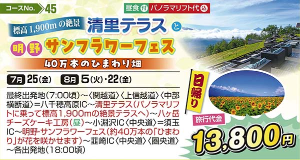 標高1,900mの絶景 清里テラスと明野サンフラワーフェス 40万本のひまわり畑（日帰り）