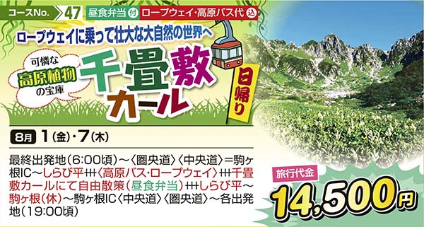 ロープウェイに乗って壮大な大自然の世界へ 可憐な高原植物の宝庫　千畳敷カール（日帰り）